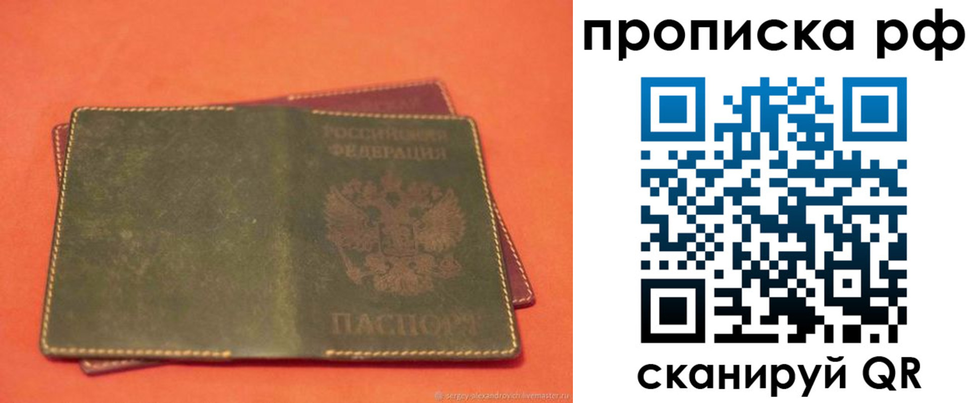 найти адрес прописки в Светлогорске